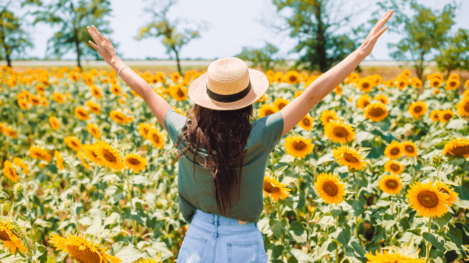 Zdjęcie przedstawiające szczęśliwą kobietę na polu słoneczników.